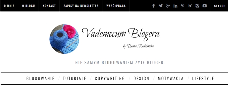 blog Vademecum Blogera